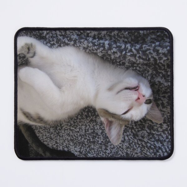 Item preview, Kitten Being Silly Cutest Cat Pics designed and sold by CutestCatPics.