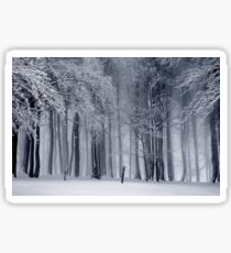 invierno Sticker