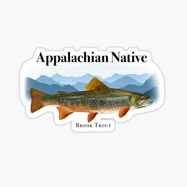 Wyo Brook Trout Pattern Sticker - Wyoming Trout Stickers – Fly Fish Wyoming