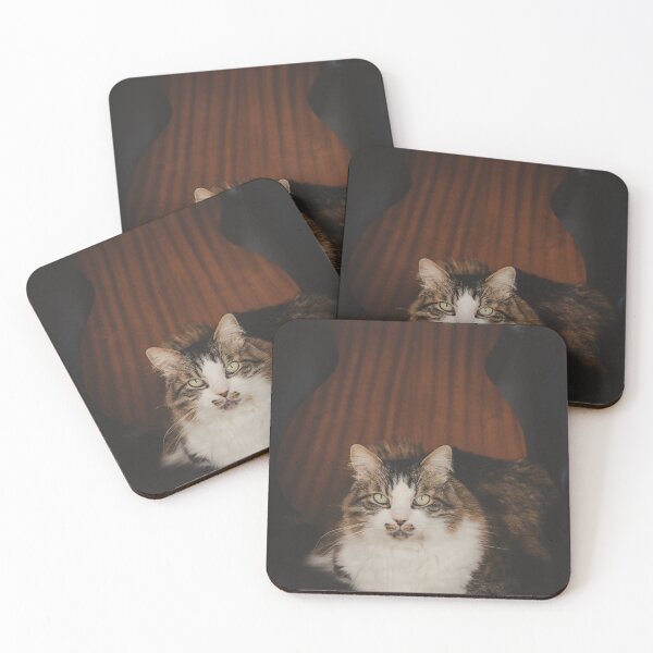 Item preview, Cat With Acoustic Guitar On Chair Cutest Cat Pics designed and sold by CutestCatPics.