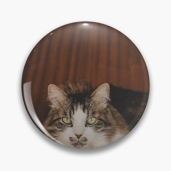Item preview, Cat With Acoustic Guitar On Chair Cutest Cat Pics designed and sold by CutestCatPics.
