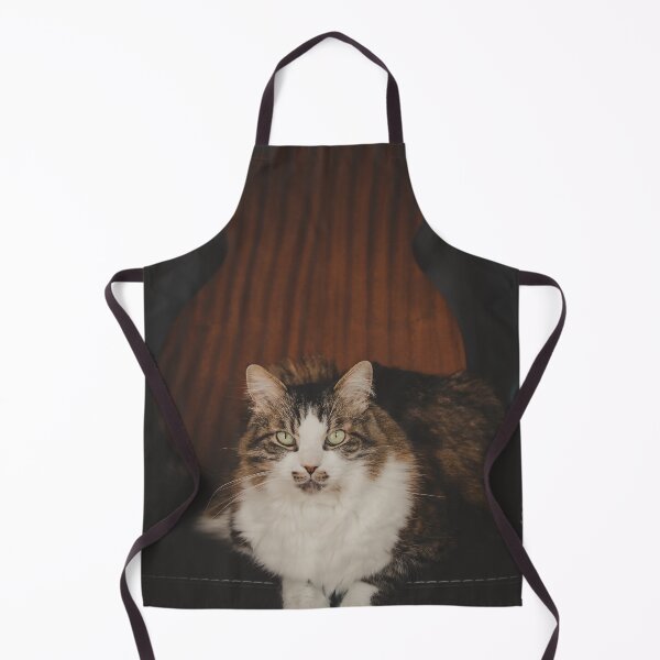 Item preview, Cat With Acoustic Guitar On Chair Cutest Cat Pics designed and sold by CutestCatPics.