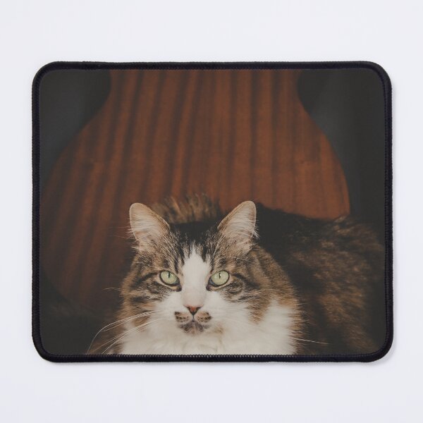 Item preview, Cat With Acoustic Guitar On Chair Cutest Cat Pics designed and sold by CutestCatPics.