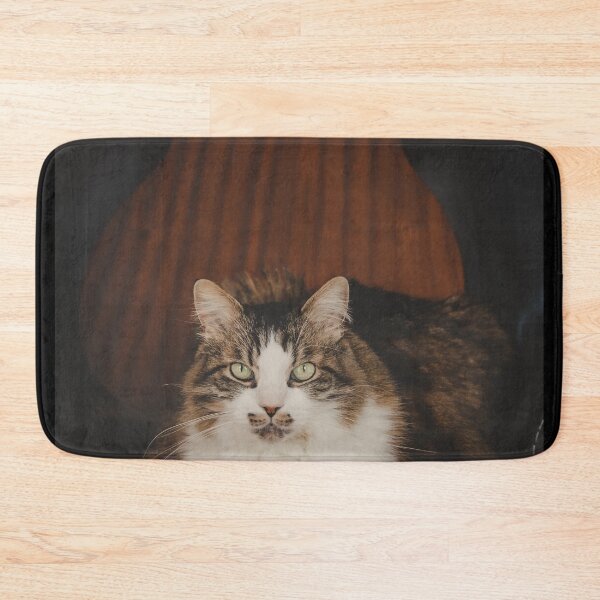 Item preview, Cat With Acoustic Guitar On Chair Cutest Cat Pics designed and sold by CutestCatPics.