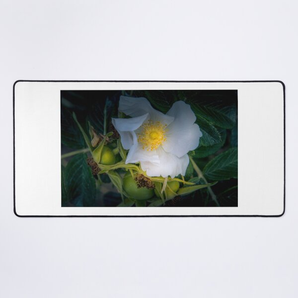 Item preview, Normandy Coastline Rose Hips designed and sold by nbrandsberg.