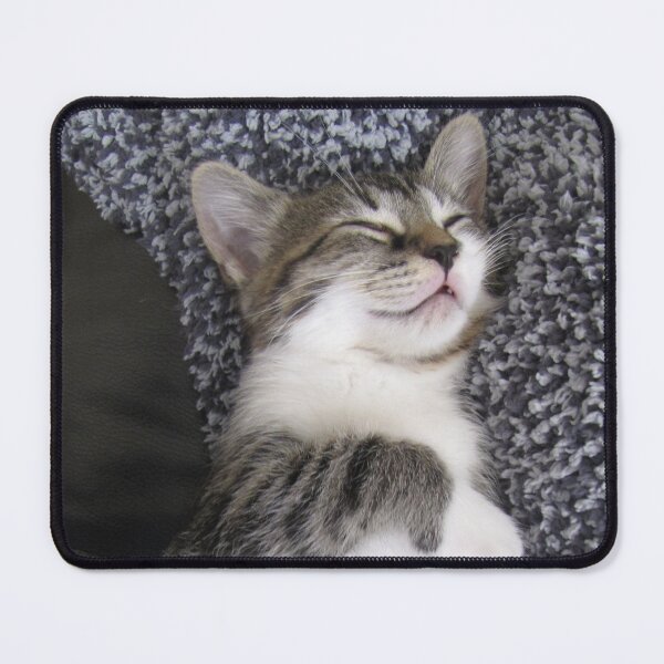Item preview, Kitten Sleeping On Blanket On Chair Cutest Cat Pics designed and sold by CutestCatPics.