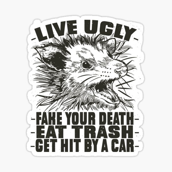 Opossum Patch, Let's Eat Trash And Get Hit By A Car, Funny Patch, Iron On,  Sew On