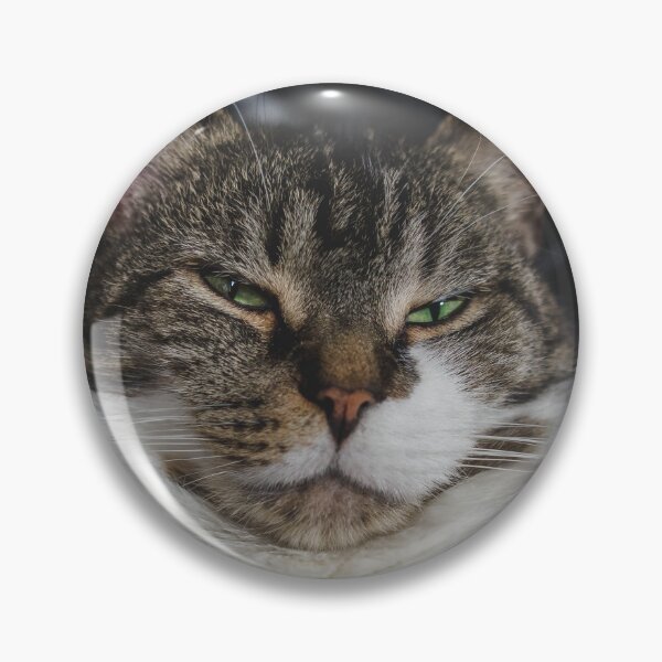 Item preview, Grumpy Kitten On Chair Cutest Cat Pics designed and sold by CutestCatPics.