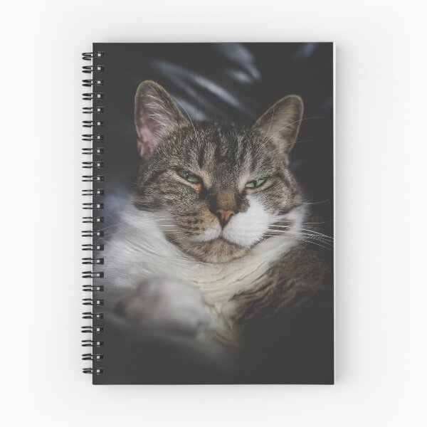 Item preview, Grumpy Kitten On Chair Cutest Cat Pics designed and sold by CutestCatPics.