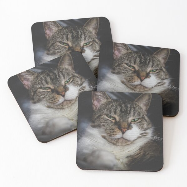 Item preview, Grumpy Kitten On Chair Cutest Cat Pics designed and sold by CutestCatPics.