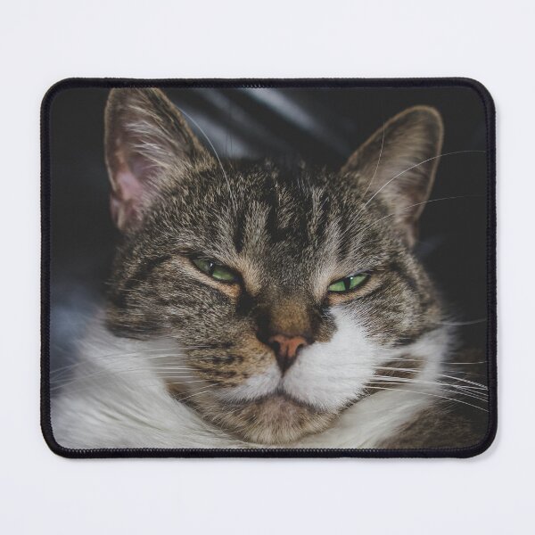 Item preview, Grumpy Kitten On Chair Cutest Cat Pics designed and sold by CutestCatPics.