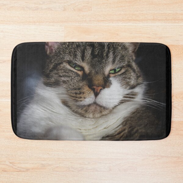 Item preview, Grumpy Kitten On Chair Cutest Cat Pics designed and sold by CutestCatPics.