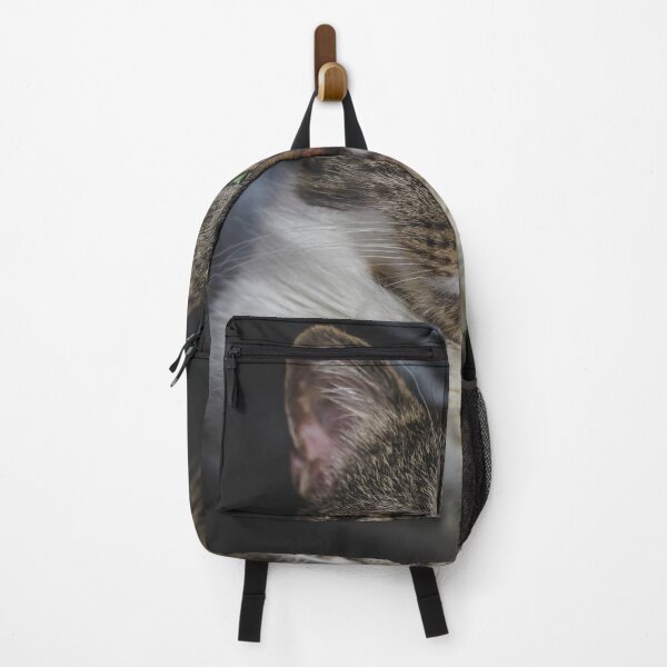 Item preview, Grumpy Kitten On Chair Cutest Cat Pics designed and sold by CutestCatPics.