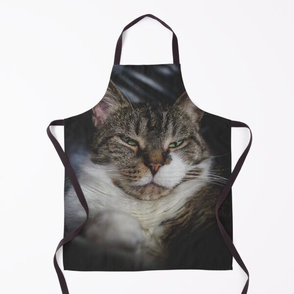 Item preview, Grumpy Kitten On Chair Cutest Cat Pics designed and sold by CutestCatPics.