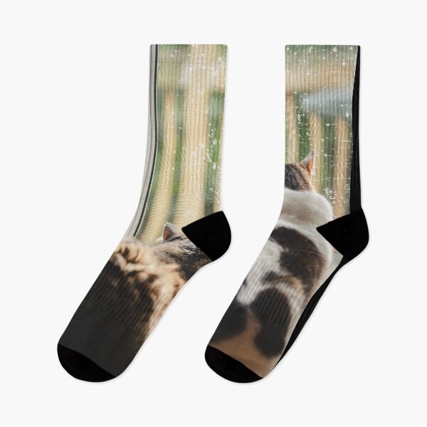 Item preview, Kittens Looking Out Door Raining Cutest Cat Pics designed and sold by CutestCatPics.