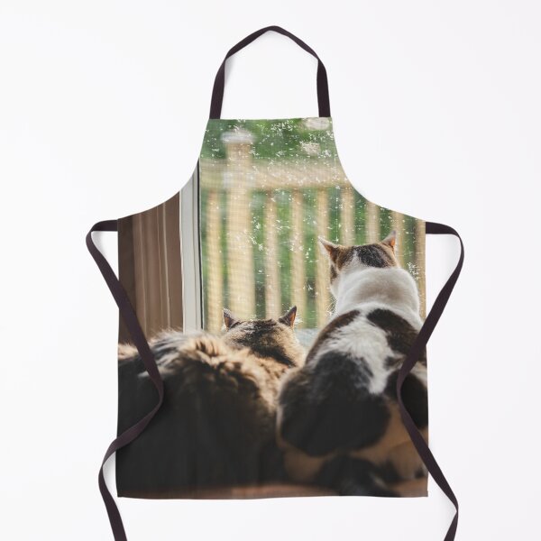 Item preview, Kittens Looking Out Door Raining Cutest Cat Pics designed and sold by CutestCatPics.