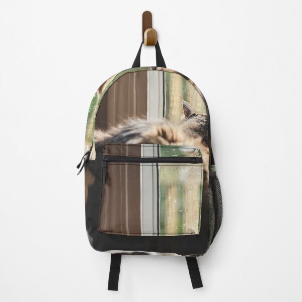 Item preview, Kittens Looking Out Door Raining Cutest Cat Pics designed and sold by CutestCatPics.