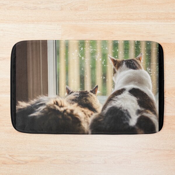 Item preview, Kittens Looking Out Door Raining Cutest Cat Pics designed and sold by CutestCatPics.