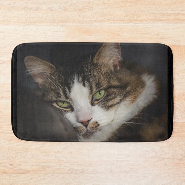 Item preview, Cat Sleeping Cutest Cat Pics designed and sold by CutestCatPics.