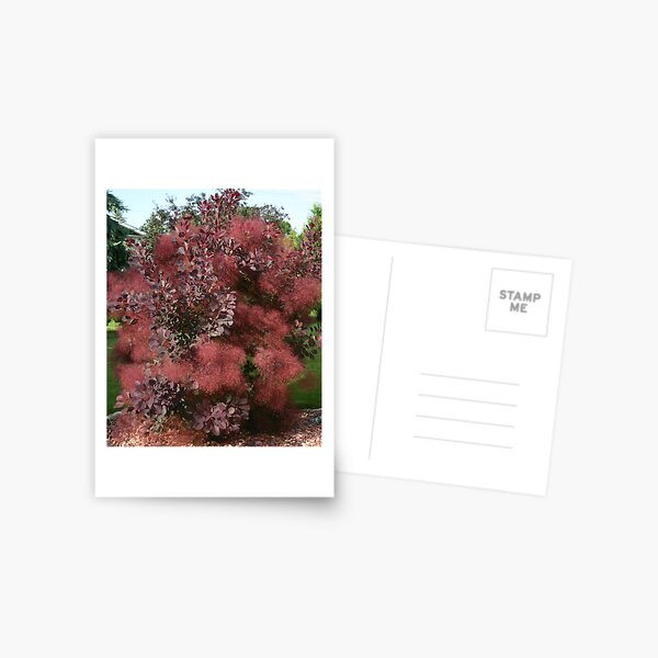 Vista previa del artículo con la obra «Smoke Tree», diseñado y vendido por Mary Kaderabek-Aleckson.