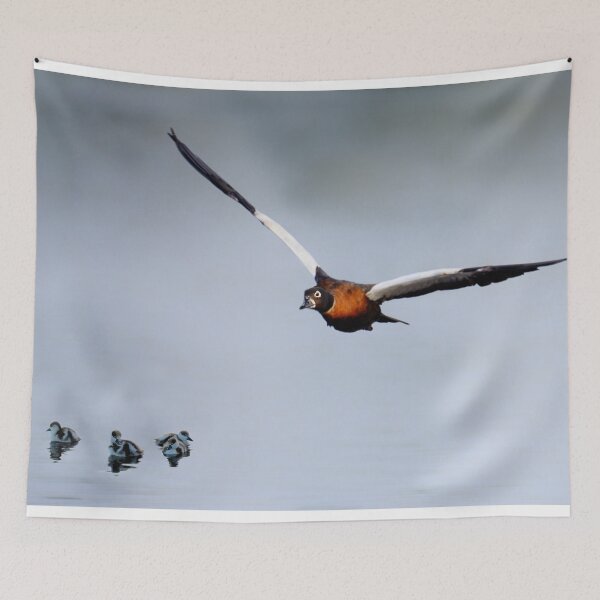 Item preview, Australian shelduck and ducklings designed and sold by nadine henley.