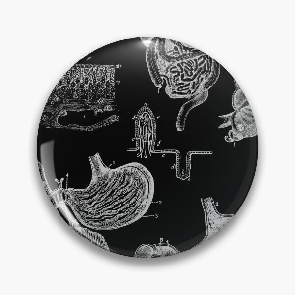 Item preview, Vintage human anatomy of Gastrointestinal tract designed and sold by Preslava Genova.