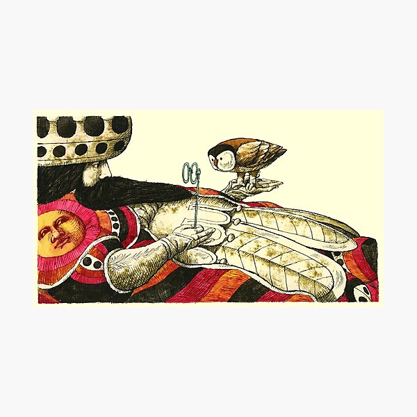 Teacher with owl Photographic Print