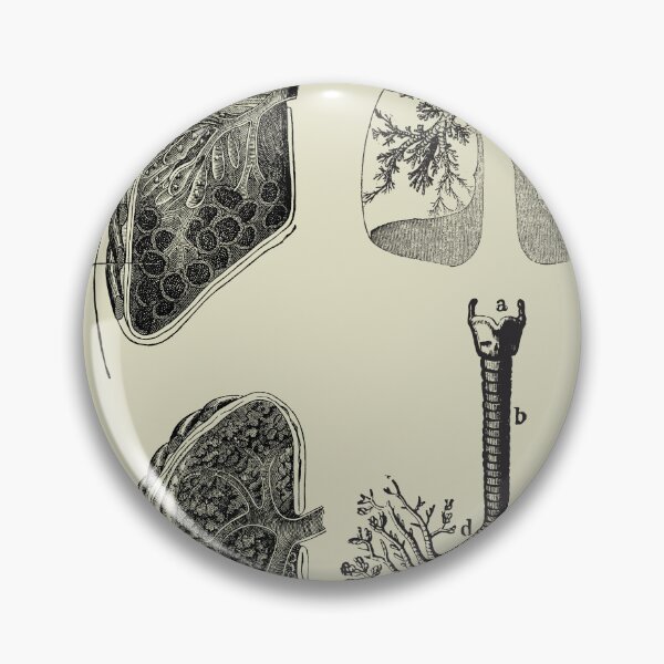 Item preview, Vintage human anatomy of respiratory tract designed and sold by Preslava Genova.