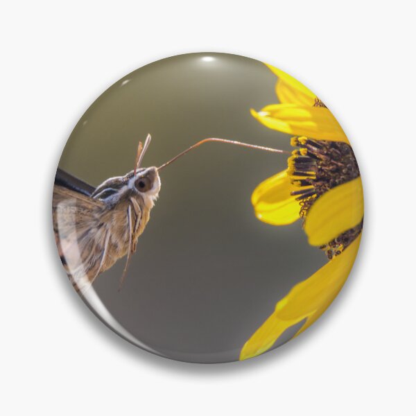 Item preview, Hummingbird Moth Gathering Nectar designed and sold by Debra Martz.