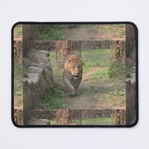 Item preview, TIGER PRINT designed and sold by fejoa.