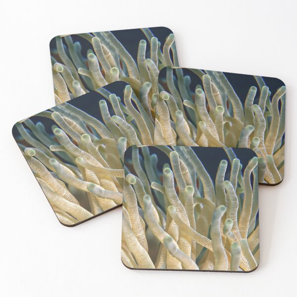 Item preview, Corals designed and sold by Zip-Zup.