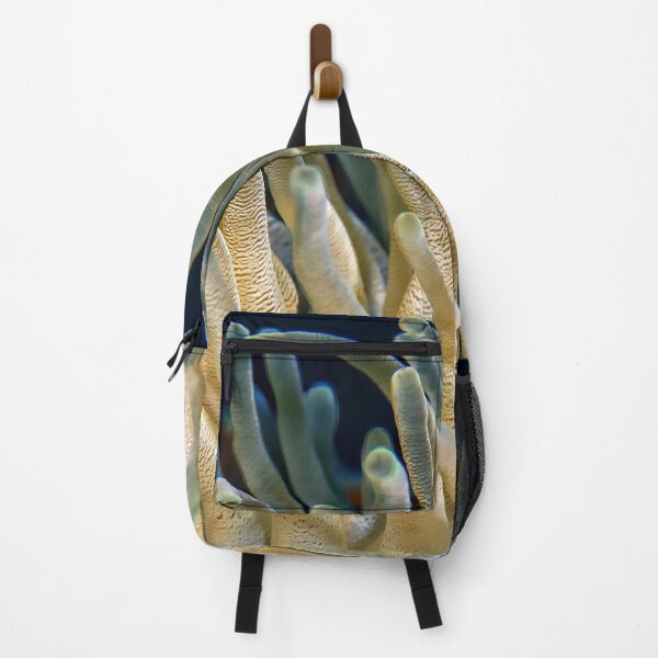 Item preview, Corals designed and sold by Zip-Zup.