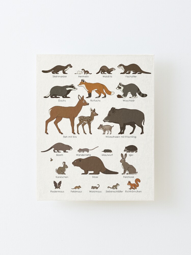 Wild animals close to settlements or urban wild animals Infographic / display board (German) Wild animals close to settlements or urban wild animals Infographic / display board (German)