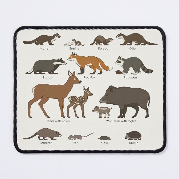 Item preview, Urban Wildlife or City Animals Identification ID Chart (English) designed and sold by Iris Luckhaus.
