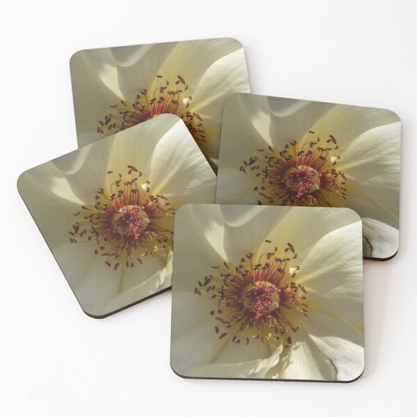 Item preview, White  flower designed and sold by paolo amiotti.