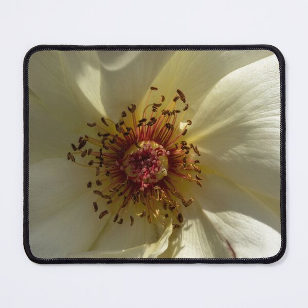Item preview, White  flower designed and sold by paolo amiotti.