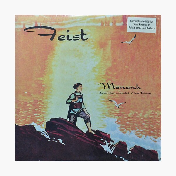 Feist - monarch - LP art fanart Photographic Print
