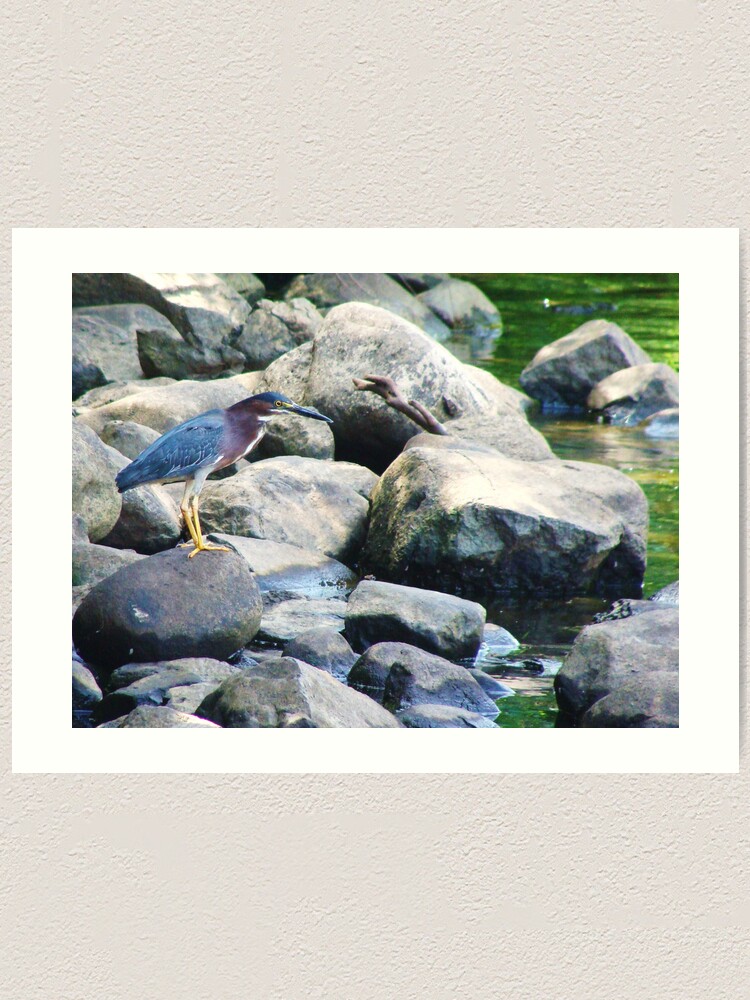 Alternate view of Nature Never Fails You Art Print