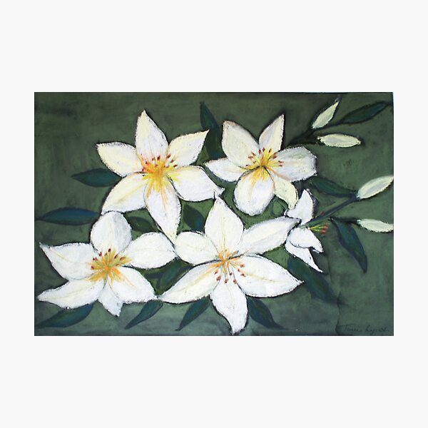 Item preview, Lillies designed and sold by Toni Lynch.