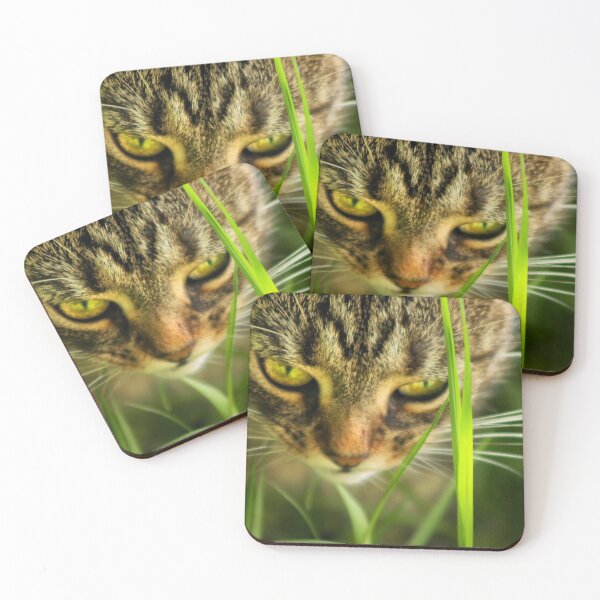 Item preview, cats head amongst grass designed and sold by Francespoppy.