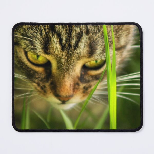 Item preview, cats head amongst grass designed and sold by Francespoppy.