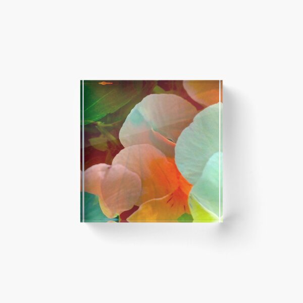 Item preview, Petal Patter designed and sold by kmcolorworks.