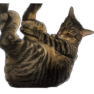 Artwork thumbnail, pepper by Jacob Rathkopf