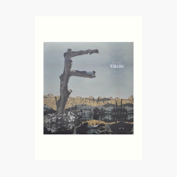Feist - metals vinyl LP sleeve art - fanart Art Print