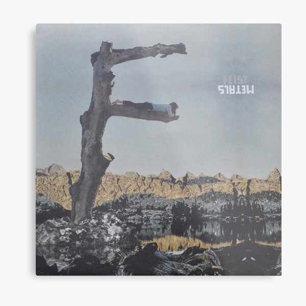 Feist - metals vinyl LP sleeve art - fanart Metal Print