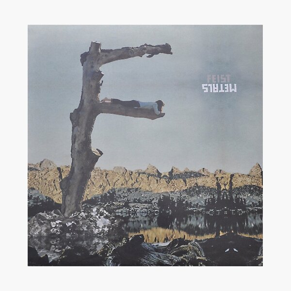 Feist - metals vinyl LP sleeve art - fanart Photographic Print