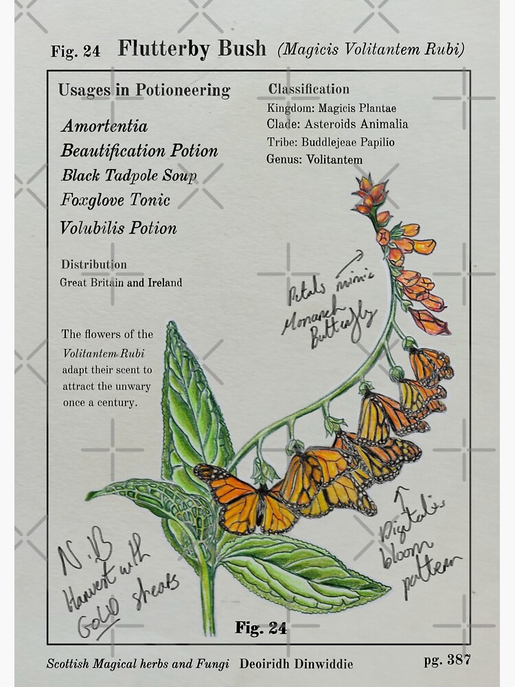 Flutterby Flowers Vinyl