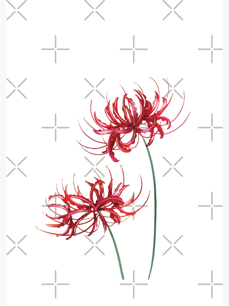 flat,750x,075,f-pad,750x1000,