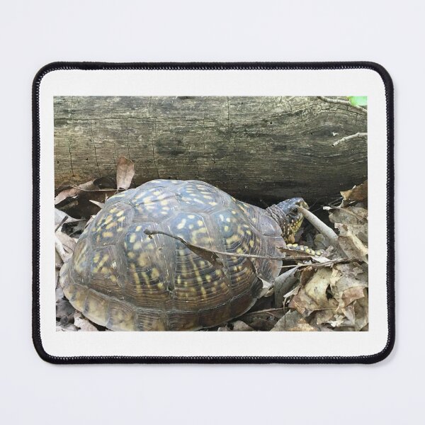 Item preview, Turtle designed and sold by JustinTimePhoto.