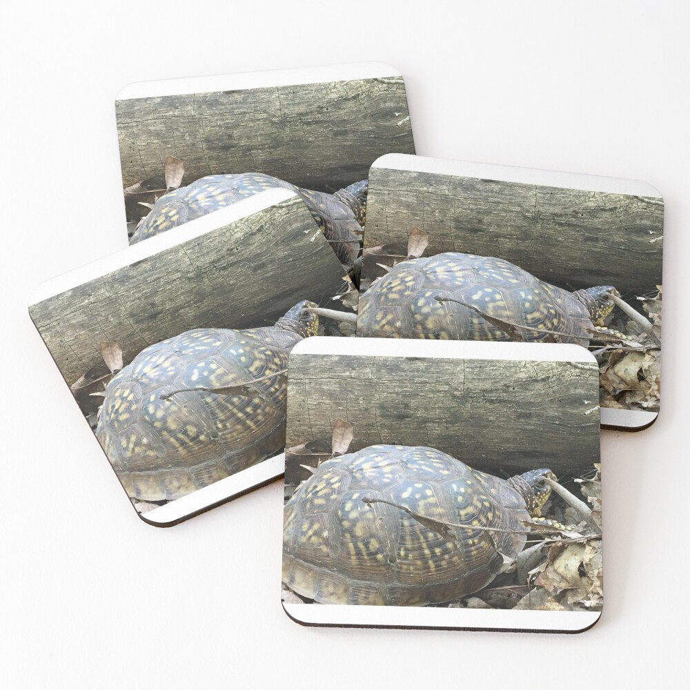 Item preview, Coasters (Set of 4) designed and sold by JustinTimePhoto.